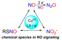 Chemical species in NO signaling