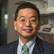 Virus-like particle could lead to new cancer vaccine